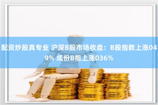 配资炒股真专业 沪深B股市场收盘：B股指数上涨049% 成份B指上涨036%